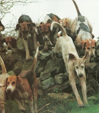 hounds puppy Oil Paintings